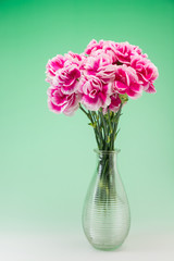 カーネーション