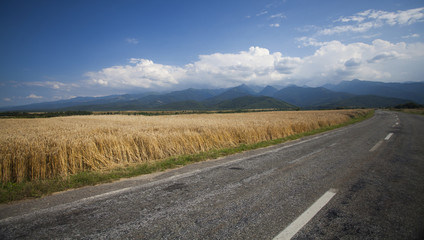 Fototapeta premium Road along edge of a wheat field, blue sky and mountains in background