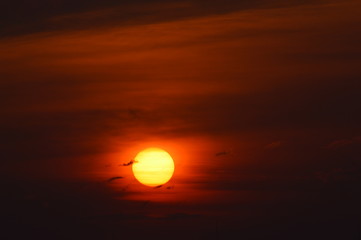 sunrise