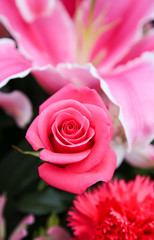 Beautiful pink rose inside a flower bouquet