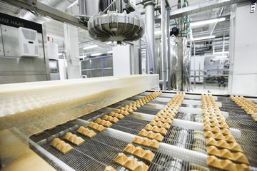 plant for the production candy and chocolate