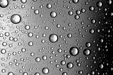 Water drops closeup. Abstract black and white background of waterdrops