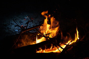 Игра света костра