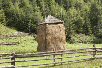 Sheaf of hay, covered with a makeshift roof