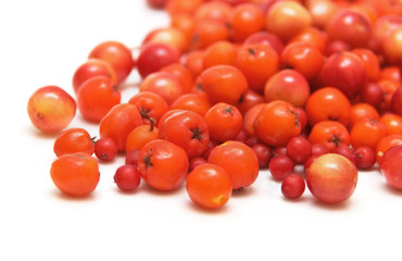 Berries isolated on white