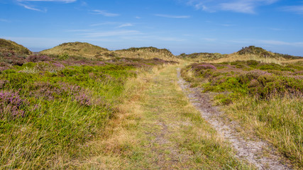 Dunes landscape of the wadden islands of the Netherlands with bl