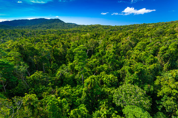 Naklejka premium Las deszczowy z powietrza w pobliżu Kuranda, Queensland, Australia