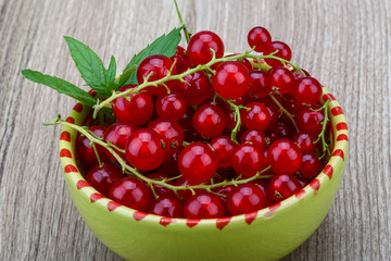 Red currant