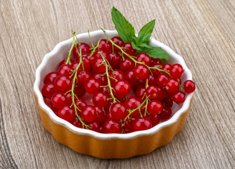 Red currant