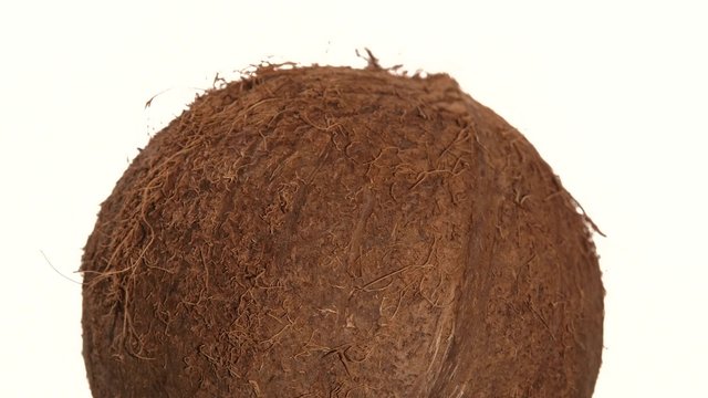Top of coconut isolated on white, rotation