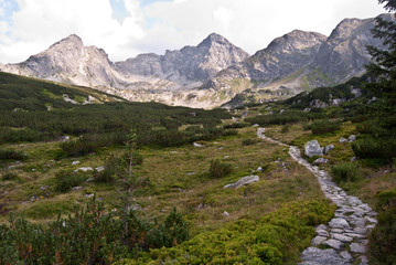Zielona dolina Gasienicowa valley in Tatry mountains © honza28683