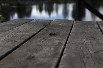 Fototapeta premium A lure with feathers on a table of wood and reflections from the water