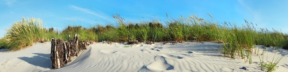 Foto auf Acrylglas Panoramafotos Ostsee Urlaub - Strand Dünen Panorama