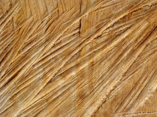 Textur gesägtes Holz