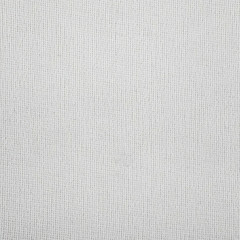 white canvas texture