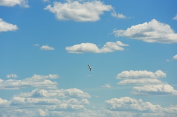Fototapeta na wymiar Blue sky with many white clouds
