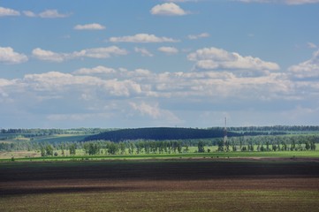 Wide field with distant trees and blue sky with white clouds