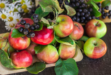 Chokeberry and apples