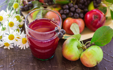 Compote from chokeberry and apples