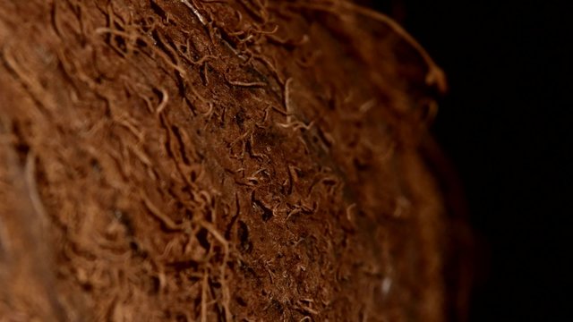 Side of coconut isolated on black, rotation