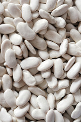 White kidney bean