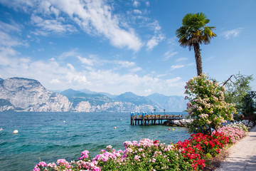 Flowers at Lake Garda