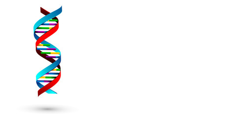  molecola, dna, genetica, biologia, scienze