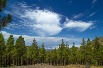 Gran Canaria, route Cruz de Tejeda - Artenara