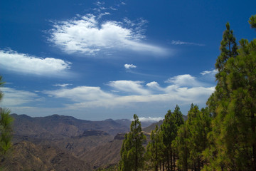 Gran Canaria, route Cruz de Tejeda - Artenara