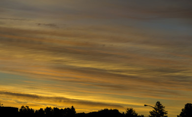 Fototapeta na wymiar Beautiful yellow-orange strands of color at sunrise. 
