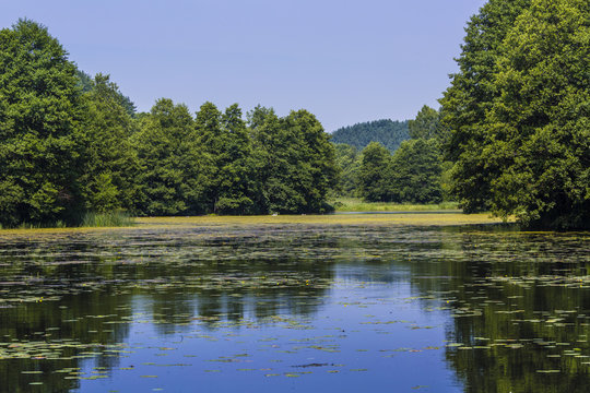 River Black  Hancza in Turtul. Poland