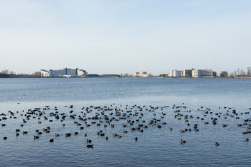 Am Binnensee  in Heiligehafen an der Ostsee, Deutschland