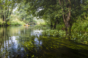 Fototapeta na wymiar Kayaking on the Rospuda river, Poland