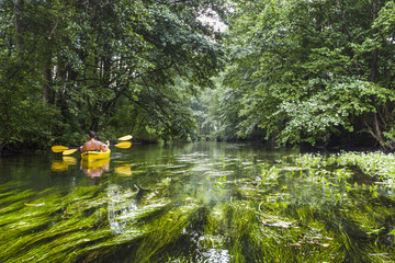 Kayaking on the Rospuda river, Poland - obrazy, fototapety, plakaty