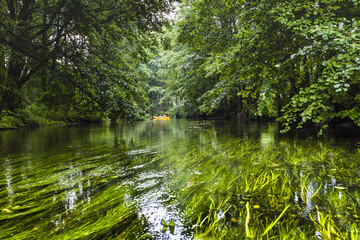 Kayaking on the Rospuda river, Poland