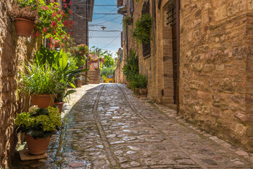 The cobbled streets of the beautifully decorated walls with colo