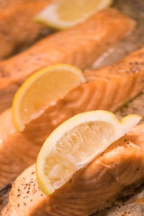 Roast salmon