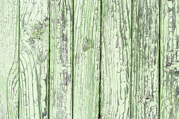 Fototapeta na wymiar Green peeling paint wooden surface.