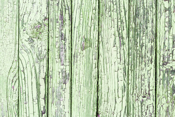 Green peeling paint wooden surface.