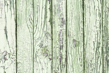 Green peeling paint wooden surface.