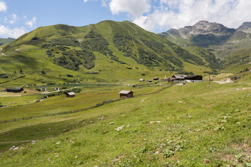Fototapeta na wymiar Alpages en montagne