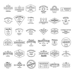 Vintage retro logo badges set