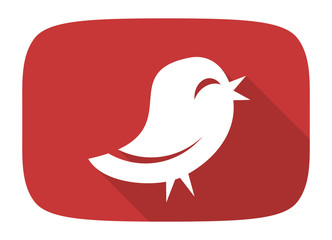 twitter flat design modern icon