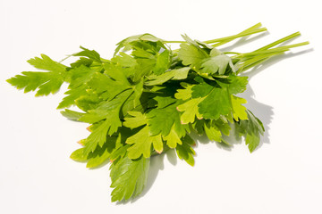 green leaves of parsley isolated on white background