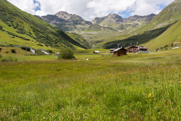 Fototapeta na wymiar pré dans les alpes en Autriche