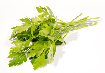 green leaves of parsley isolated on white background