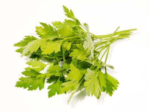 green leaves of parsley isolated on white background