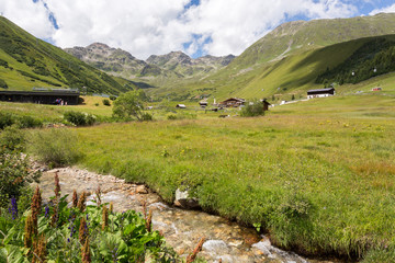 Fototapeta na wymiar Ruisseau dans les alpages en Autriche