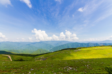 Obraz premium 愛媛県 四国カルスト 五段高原の風景