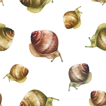 Watercolor snails pattern
